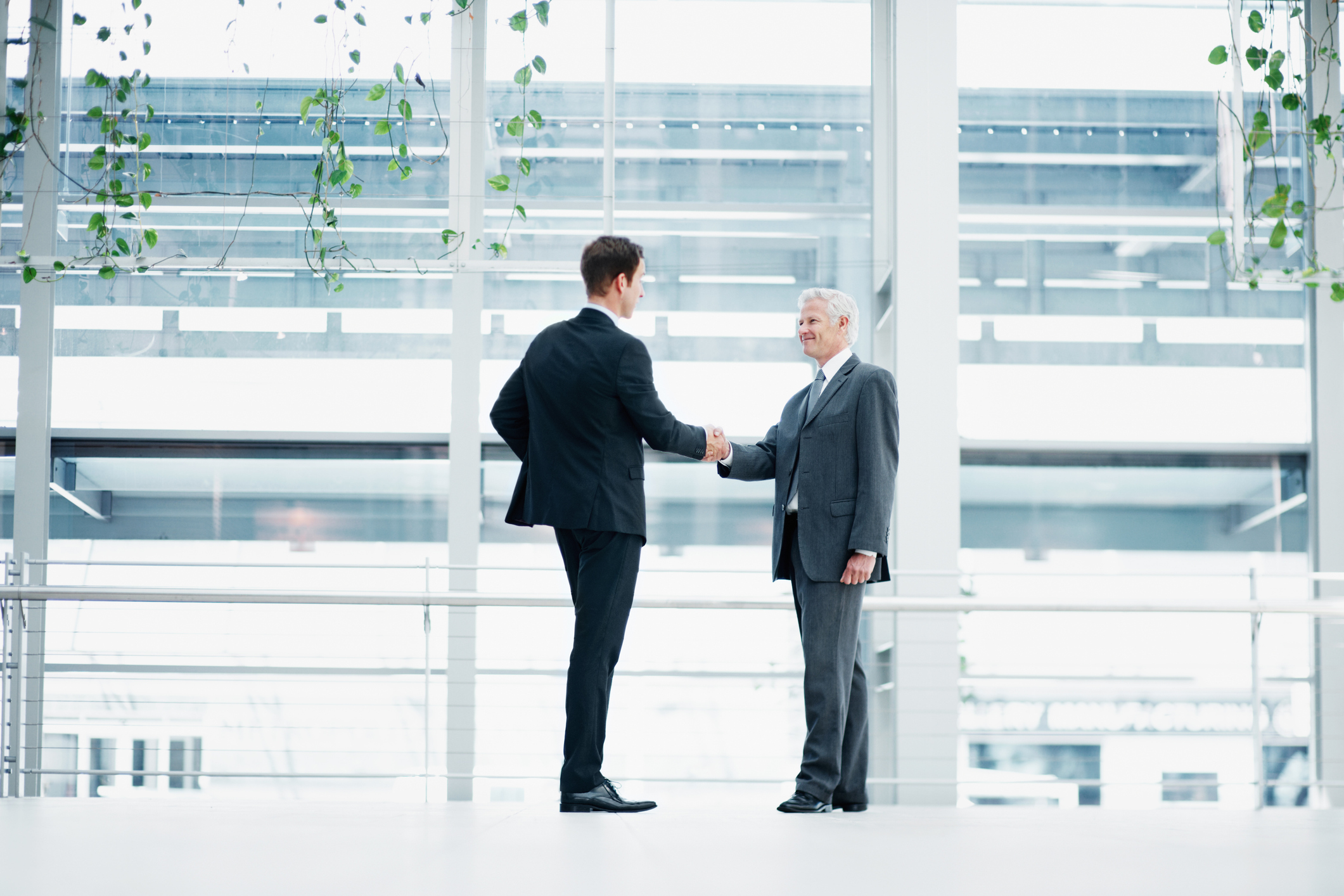 Shot of a group of two well dressed businessmen shaking hands